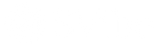 SVIBE